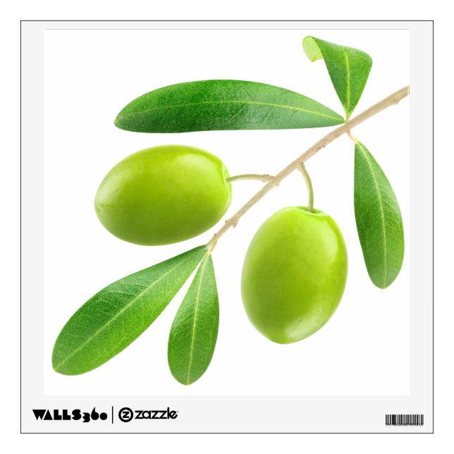 Olive branch wall decal (Front)
