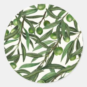 Olive branches on off white classic round sticker