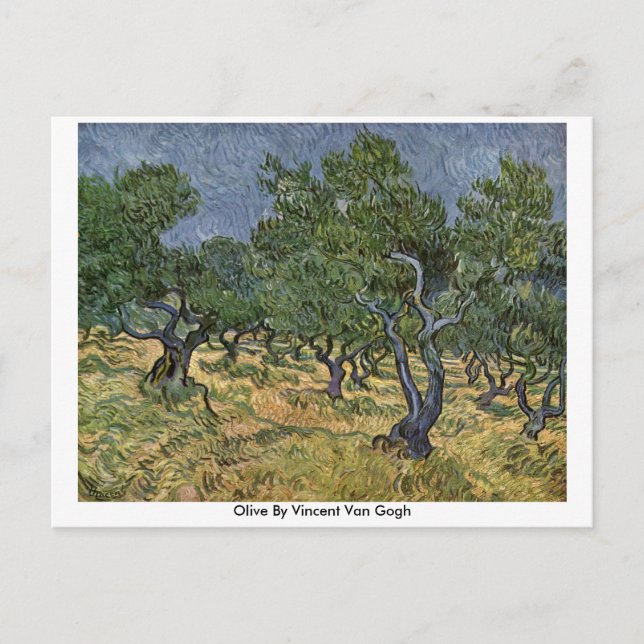 Olive By Vincent Van Gogh Postcard (Front)