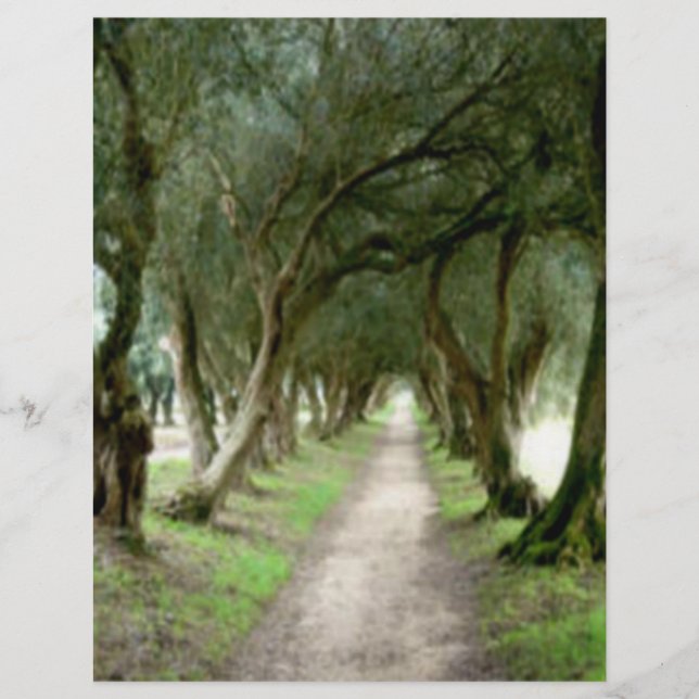 Olive Garden Flyer (Front)