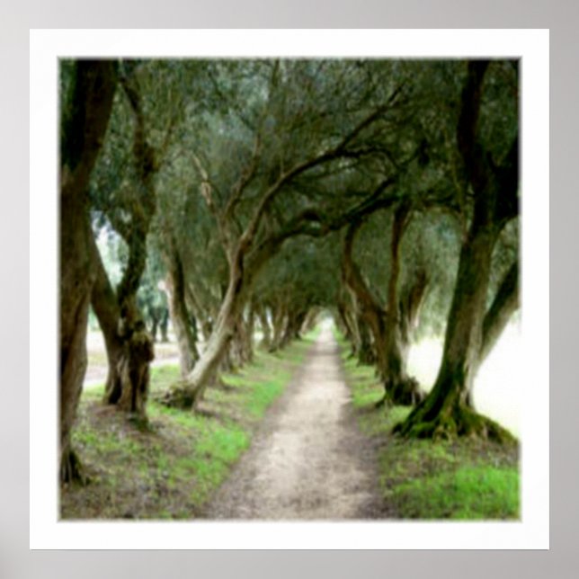 Olive Garden Print (Front)