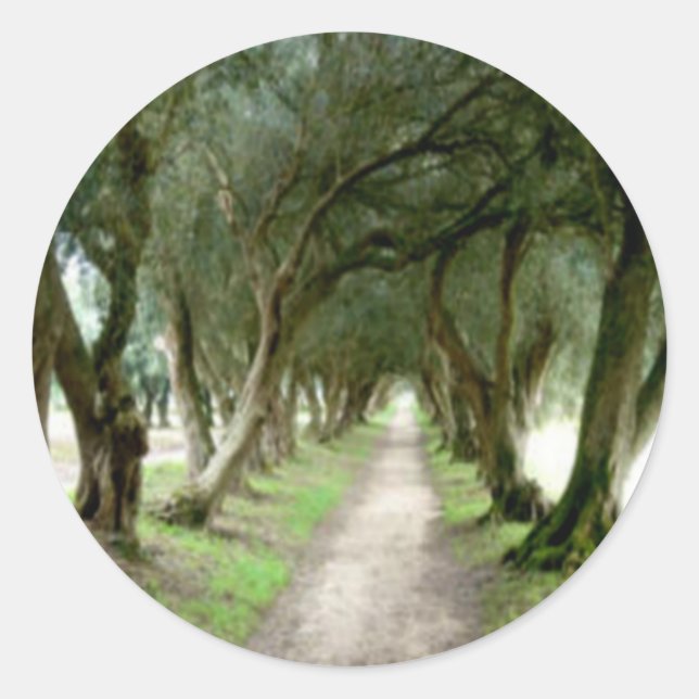 Olive Garden Stickers (Front)