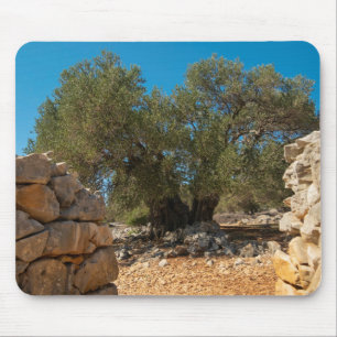 Olive Gardens of Lun Mouse Pad