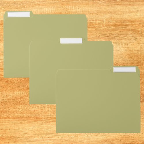Olive Green Solid Color File Folder
