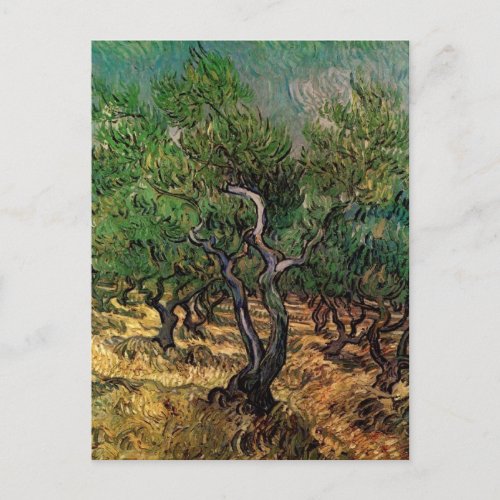 Olive Grove by Vincent van Gogh Postcard