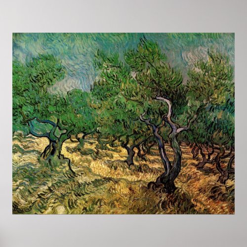 Olive Grove by Vincent van Gogh Poster