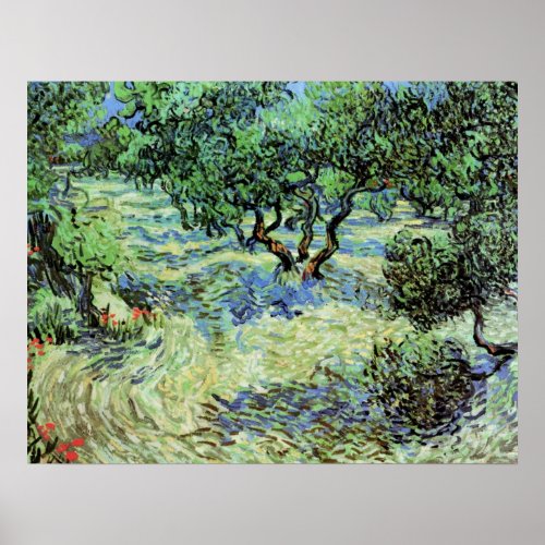 Olive Grove by Vincent van Gogh Poster