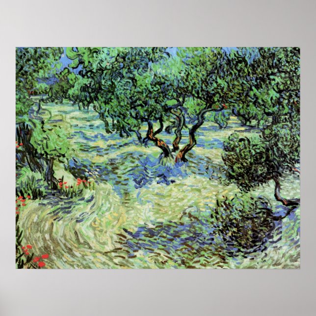Olive Grove by Vincent van Gogh Poster (Front)