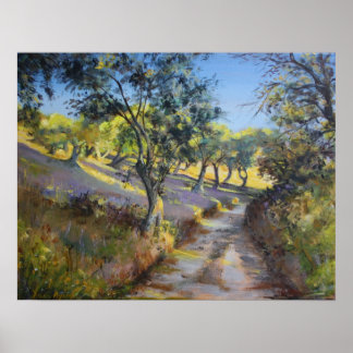 Olive Grove in Autumn Sunlight Poster