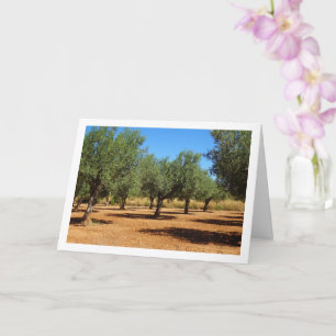 Olive Grove Landscape Card