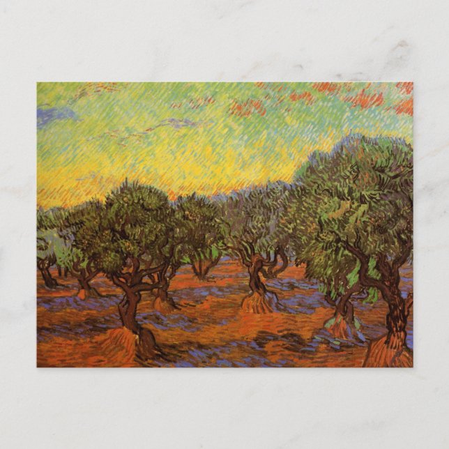 Olive Grove, Orange Sky by Vincent van Gogh Postcard (Front)
