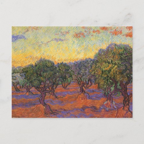 Olive Grove Orange Sky by Vincent van Gogh Postcard