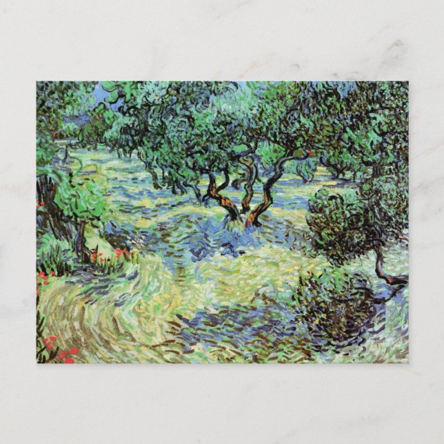 Olive Grove, Vincent van Gogh Postcard (Front)