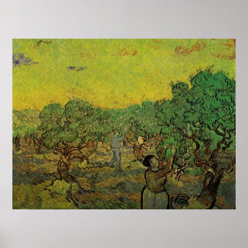 Olive Grove with Picking Figures Vincent van Gogh Poster