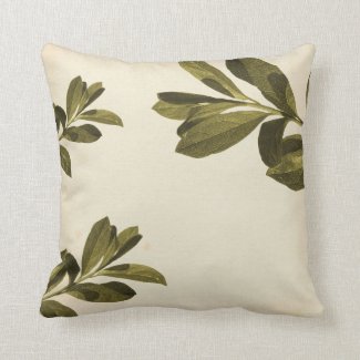 Olive Green Pillows Pretty Throw Pillows