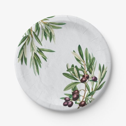 Olive Leaves Mediterranean Greek Island  Paper Plates