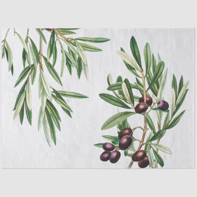 Olive Leaves Mediterranean Greek Island  Tissue Paper (Front)