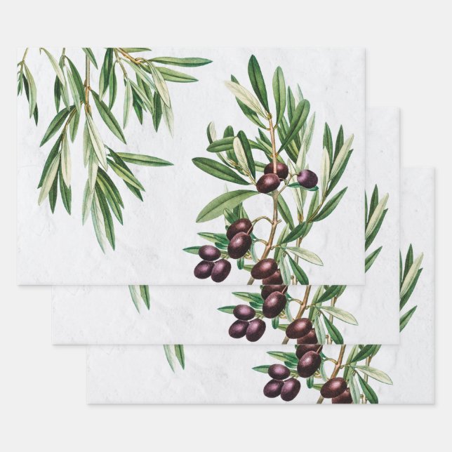 Olive Leaves Mediterranean Greek Island  Wrapping Paper Sheets (Set)