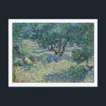 Olive Orchard by van Gogh Postcard<br><div class="desc">This is the oil painting "Olive Orchard (Olive Grove)” done in 1889 by Dutch post- impressionist artist Vincent Willem van Gogh (1853-1890).    It is our Fine Art Series no. 105.</div>