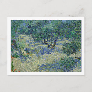 Olive Orchard by van Gogh Postcard