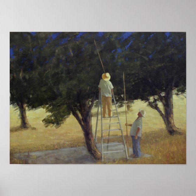 Olive Pickers 1985 Poster (Front)