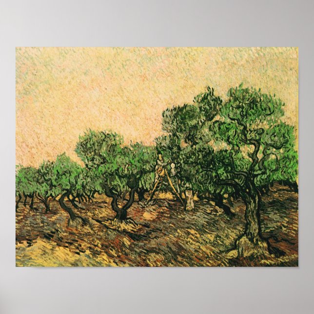 Olive Picking Van Gogh Fine Art Poster (Front)
