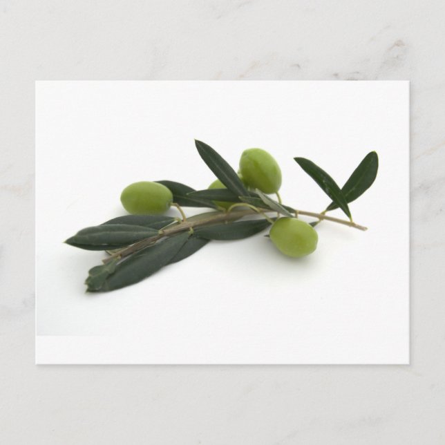 Olive Postcard (Front)