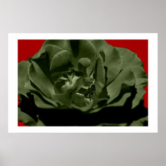 Olive Rose w/Red Anegelhair textured Background Poster