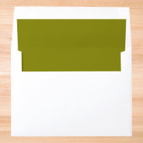 Blood Red Solid Envelope Liner