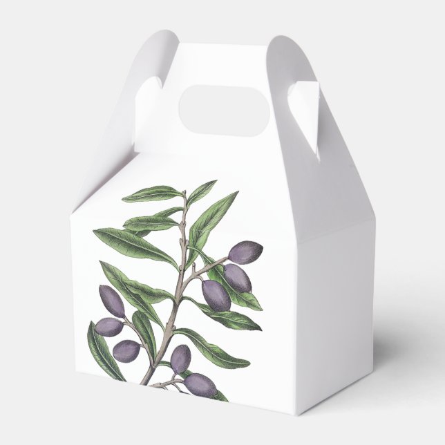Olive Tree Branch | Green Purple Favor Boxes (Front Side)