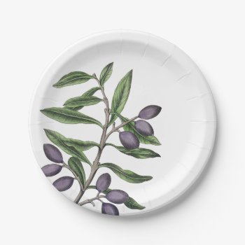 Olive Tree Branch Green Purple Plate by Charmalot at Zazzle