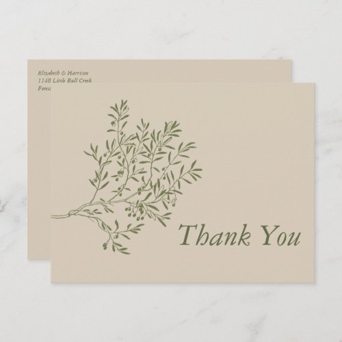 Olive Tree Branch Rustic  Minimalistic Thank You Postcard