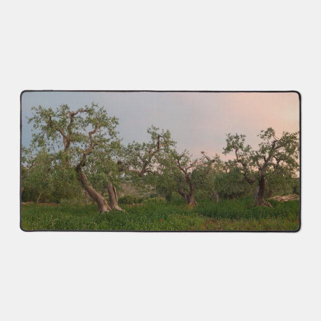 Olive tree grove at sunset  desk mat (Front)
