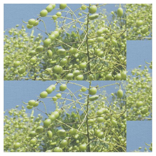 Olive Tree in Israel Fabric