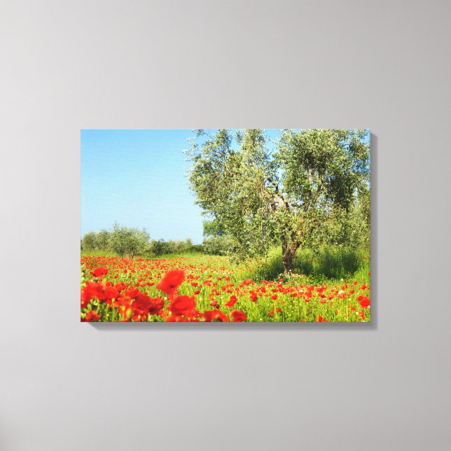 Olive tree in poppy field canvas print (Front)