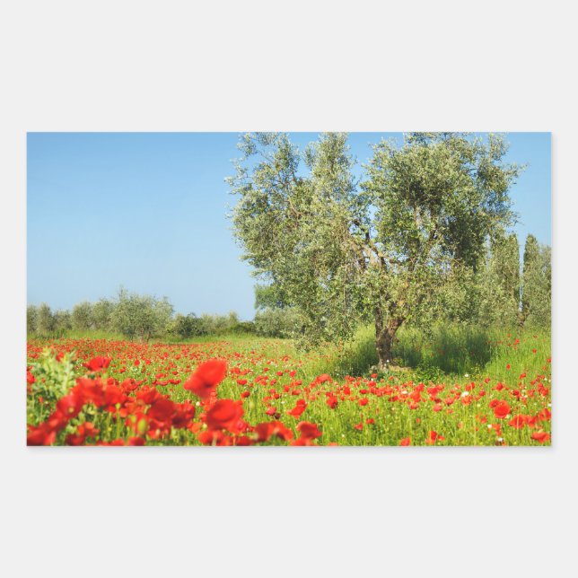 Olive tree in poppy field rectangular sticker (Front)