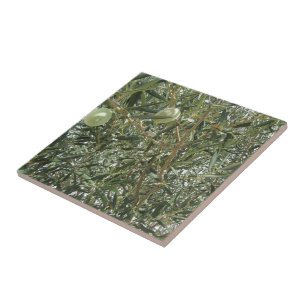 Olive Tree Leaves Ceramic Tile