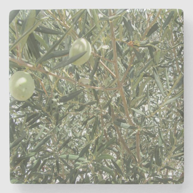 Olive Tree Leaves Stone Coaster (Front)