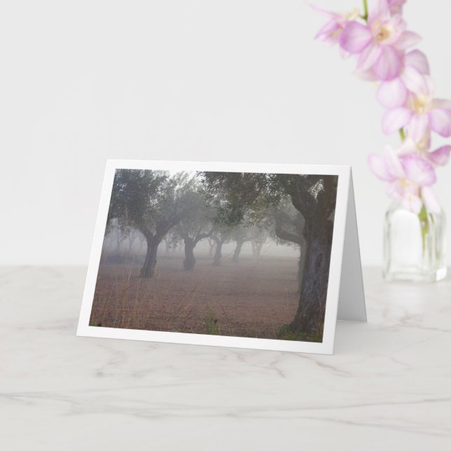 Olive Tree Orchard on a Foggy Morning Card (Orchid)