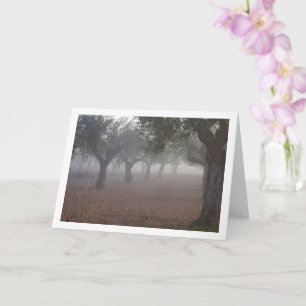 Olive Tree Orchard on a Foggy Morning Card