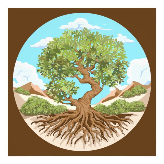 Olive tree Peace symbol in a free Palestine Land Photo Print (Front)