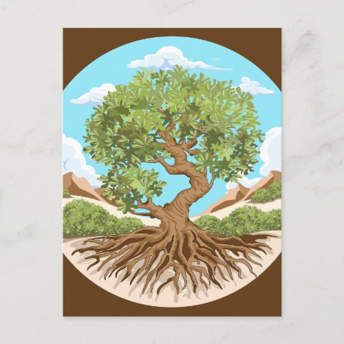 Olive tree Peace symbol in a free Palestine Land Postcard