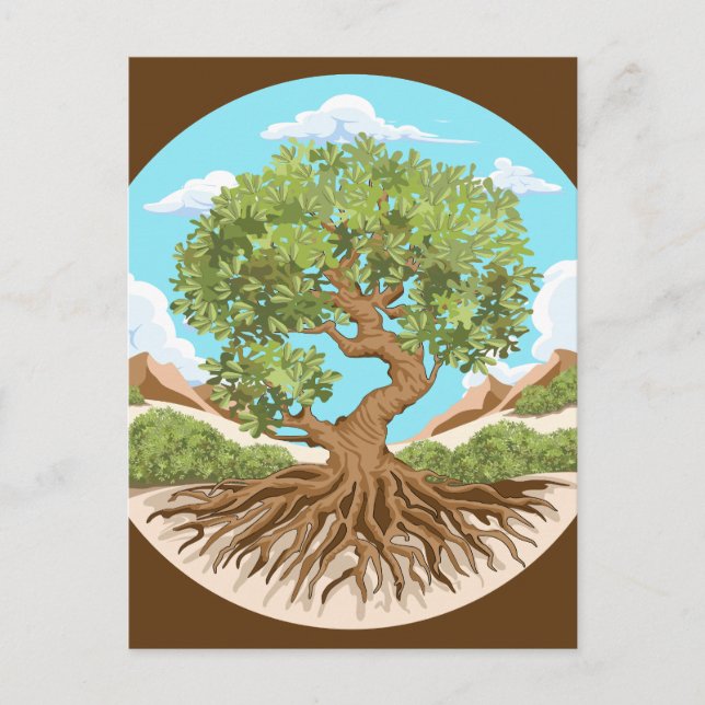 Olive tree Peace symbol in a free Palestine Land Postcard (Front)