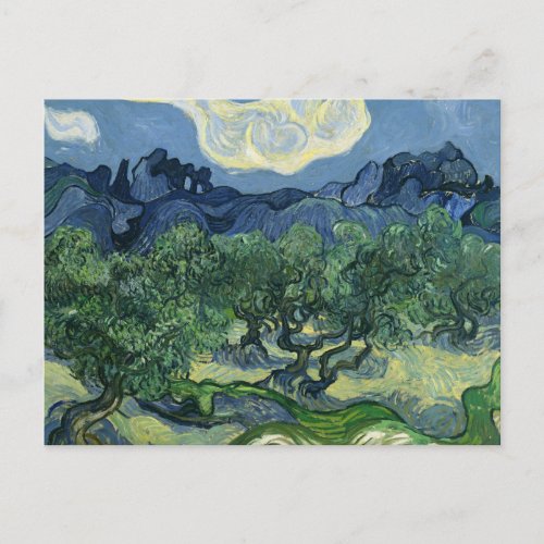 Olive Trees by Van Gogh Postcard