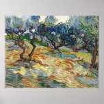 Olive Trees by Vincent Van Gogh   Poster<br><div class="desc">Olive Trees is one of at least fourteen canvases of olive trees Van Gogh painted while in the asylum at Saint-Rémy in Provence in the south of France. The olive groves became one of Van Gogh’s favorite subjects during his time at Saint-Rémy and he came to see the tree as...</div>