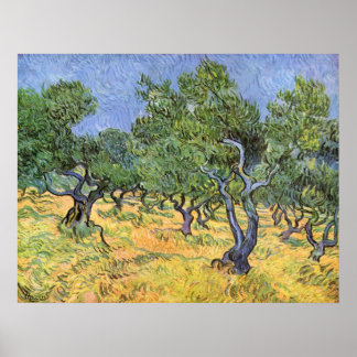 Olive Trees by Vincent van Gogh Poster