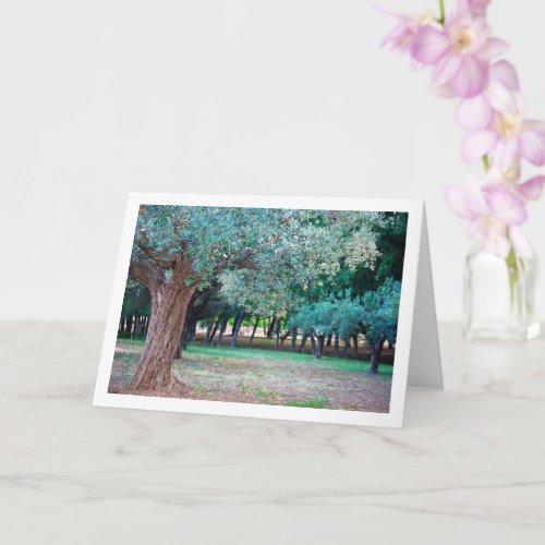 Olive Trees in Park Card