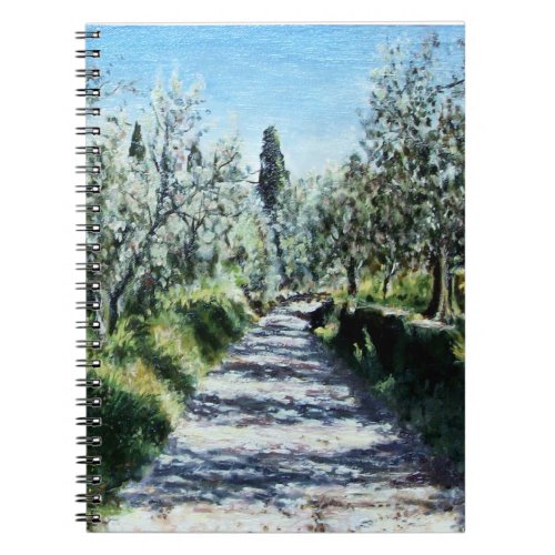 OLIVE TREES IN RIMAGGIO NOTEBOOK