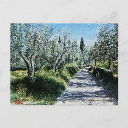 OLIVE TREES IN RIMAGGIO POSTCARD