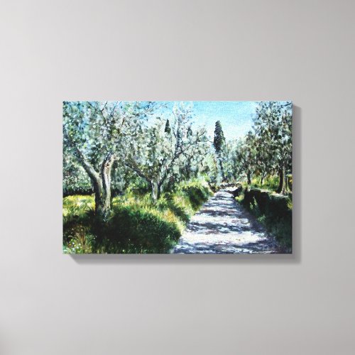OLIVE TREES IN RIMAGGIO TUSCANY CANVAS PRINT